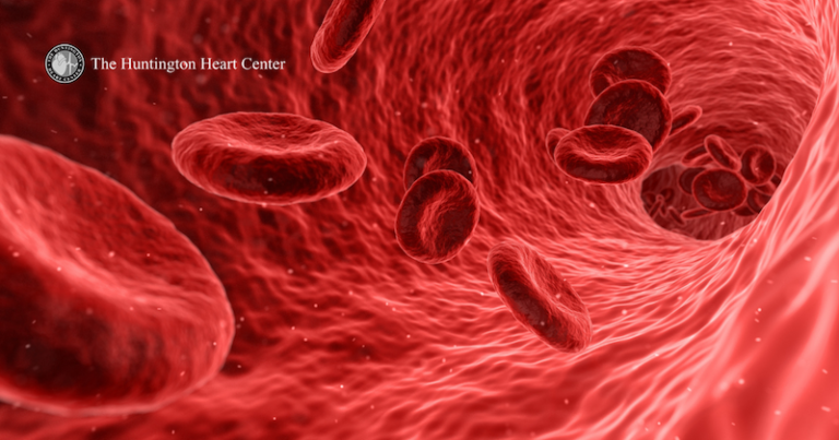 Blood Thinners vs LAA Closure vs Ablation for AFib